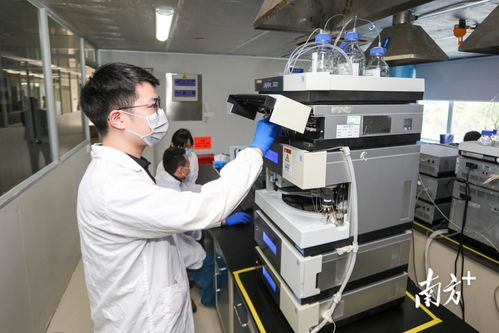 數(shù)說坪山 爭拼趕超跑出高質(zhì)量發(fā)展加速度