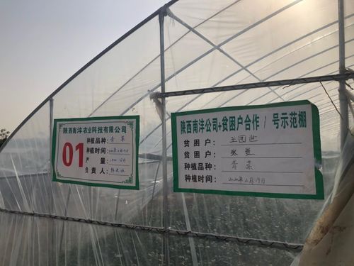 三方協(xié)同加碼，以技術(shù)轉(zhuǎn)讓與咨詢助推脫貧攻堅(jiān)